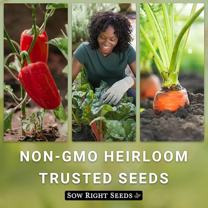 Sow Right Seeds - Large Red Cherry Tomato Seeds for Planting - Non-GMO Heirloom Packet with Instructions to Plant a Home Vegetable Garden - Tasty Snacking Variety, Start Indoors - Indeterminate (1)