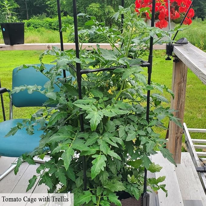 2 Pack Tomato Planter with Trellis, 62" H Rolling Planter Box with Wheels & Water Reservoir, Self-Watering Raised Garden Bed for Climbing Plants, Tomato, Potato, Vegetables, Chili