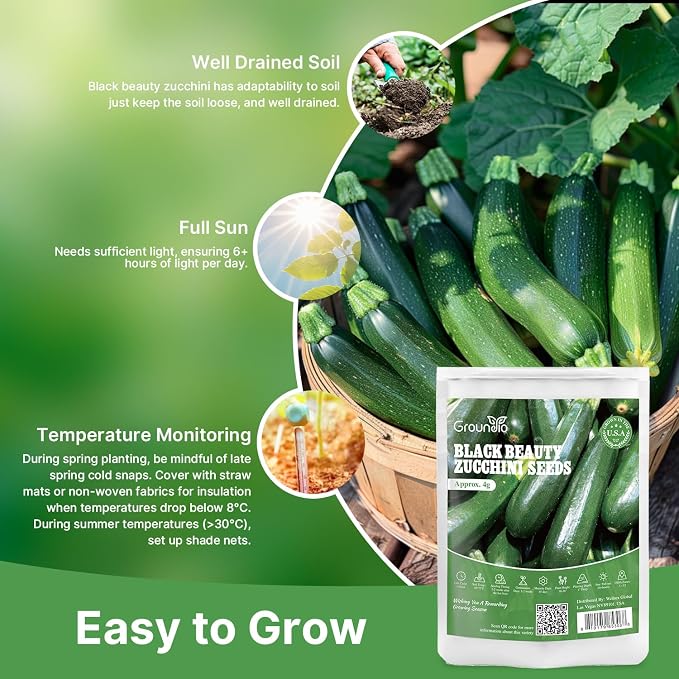 Groundio Black Beauty Zucchini Seeds, Non-GMO Heirloom Seeds, High Germination Bush Plants Produce Dark Green Tender Zucchinis, High Yield Crop for Home Vegetable Garden