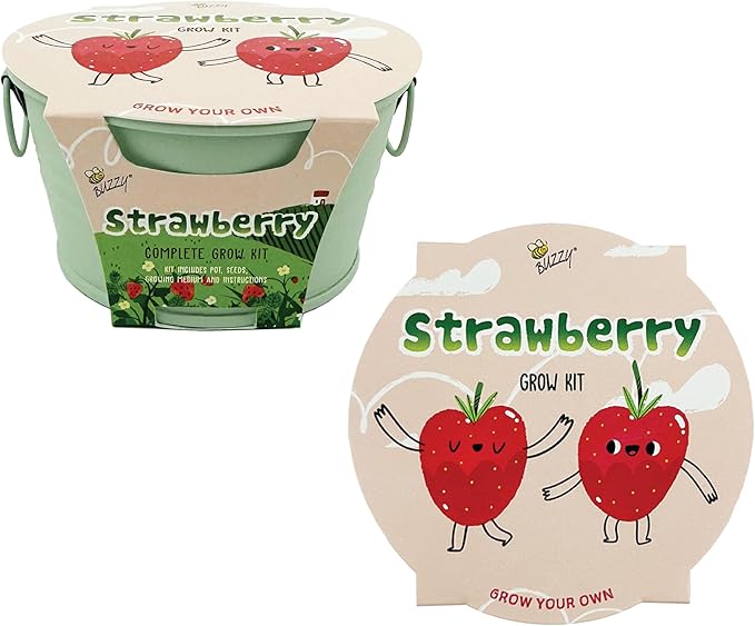 Buzzy Seeds Alpine Strawberry Grow Kit - Metal Windowsill Planter - Complete Indoor/Outdoor Gardening Kit with Seeds, Coconut Husk Growing Medium & Genuine Pots - 100% Grow Guarantee