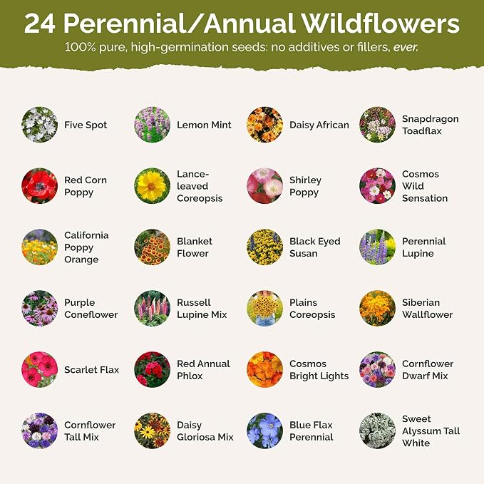Eden Brothers Virginia Wildflower Mixed Seeds for Planting, 1/4 lb, 120,000+ Seeds with Five Spot, African Daisy | Attracts Pollinators, Plant in Spring or Fall, Zones