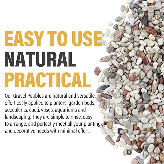 7lb Succulent and Cactus Gravel Pebbles, 1/5 Inch Mixed Color Natural Rocks for Fish Tank, Indoor Plants, Aquarium, Vases, Landscaping