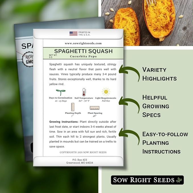 Sow Right Seeds - Spaghetti Squash Seeds for Planting - Non-GMO Heirloom Packet with Instructions to Plant and Grow an Outdoor Home Vegetable Garden - Roast and Enjoy Eating This Favorite Variety (4)