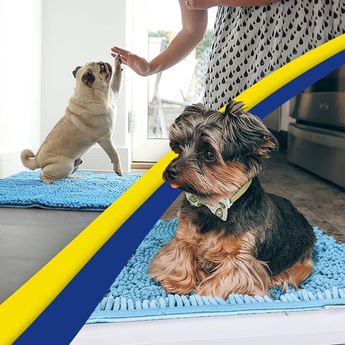 Muddy Mat® | Super Water Absorbent Door Mat Indoor, Microfiber Quick Dry Chenille Entryway Rug, Slip Resistant Front Door Mat, Indoor Mats for Entryway, Machine Washable Pet Rug, Sky Blue 32" x 44"