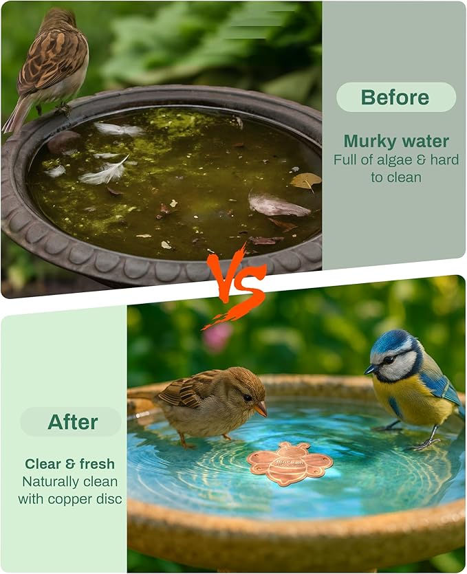 Bird Bath Purification Disk Pure Copper Outside Winter Solar Power Birdbath Outdoor Winter Backyard Humming Feeder Cage Dispenser Heater Bowl Pedestal Fountain Cleaner Garden Women Gift Bee