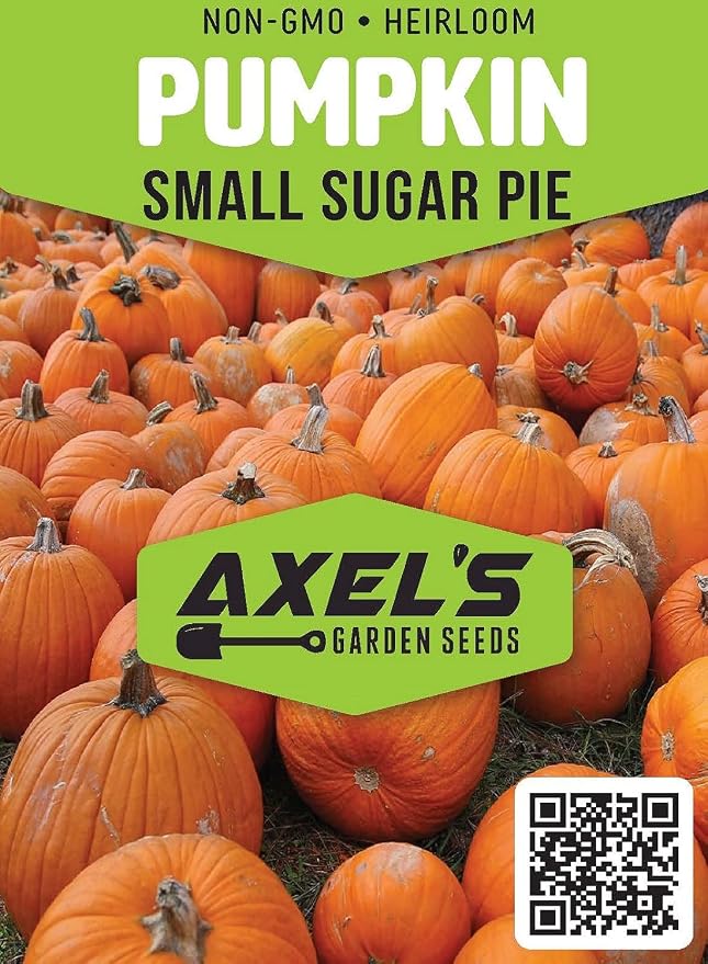 Small Sugar Pumpkin Seeds for Planting - Non-GMO Heirloom Packet with Instructions to Plant a Home Vegetable Garden - Great Gardening Gift - 25 Seeds Per Pack (3 Packets)