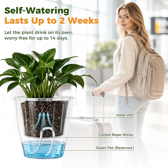 Clear Self Watering Pots for Indoor Plants, 6-Pack 6.7'' Clear Plant Pots with Drainage, Self Watering Planter, African Violet Pot, Semi Hydroponic Pot for Orchids, Flowers, Herbs