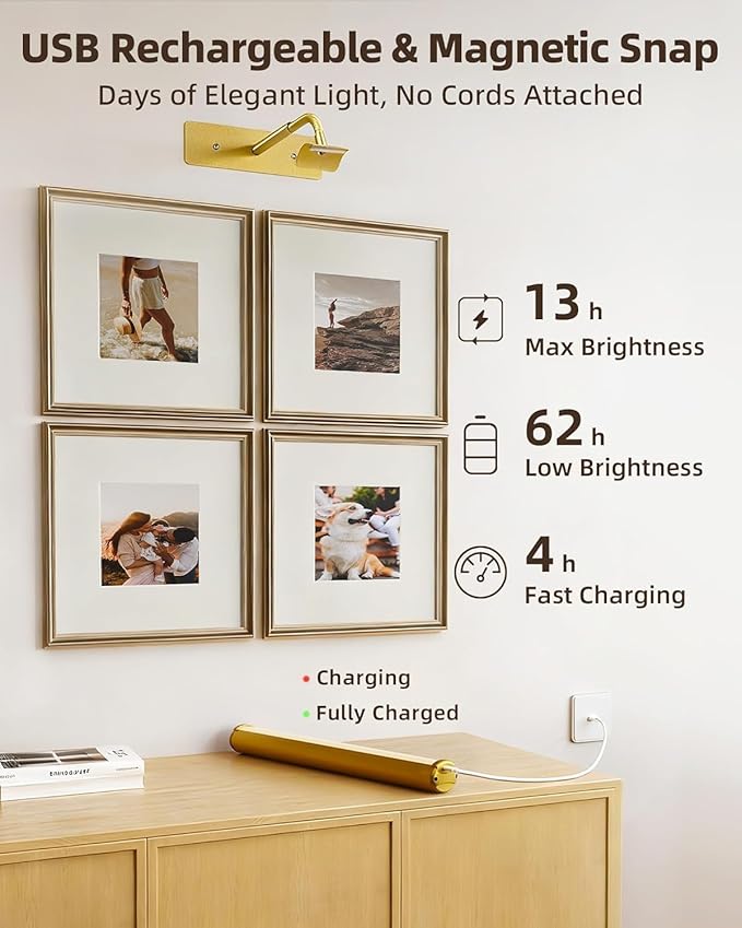 EZVALO 13in Picture Light for Wall, 4000mAh Rechargeable Art Light