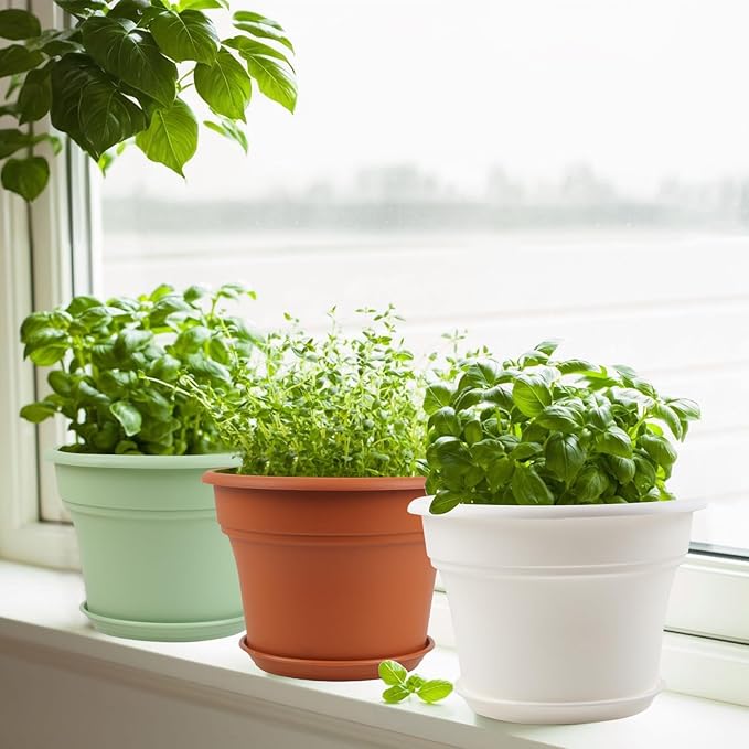 6 Inch Plastic-Flower Pot-for-Indoor Plants, 6 Pack Outdoor Plant Pots with Drainage Holes & Saucers, Resin Garden Pots Planters