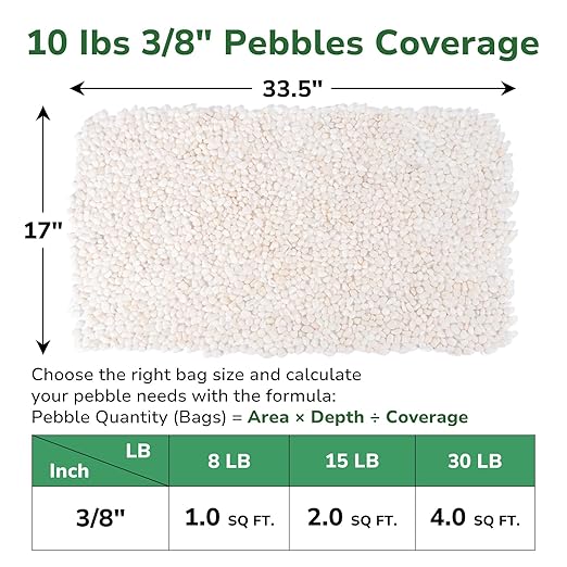 GreatBuddy 10-lb Decorative Rocks for Indoor Plants, 3/8" White Pebbles, Small Rocks for Potted Plants, Succulent, Vases, Aquariums, Fish Tanks, Garden Landscaping, Natural Polished