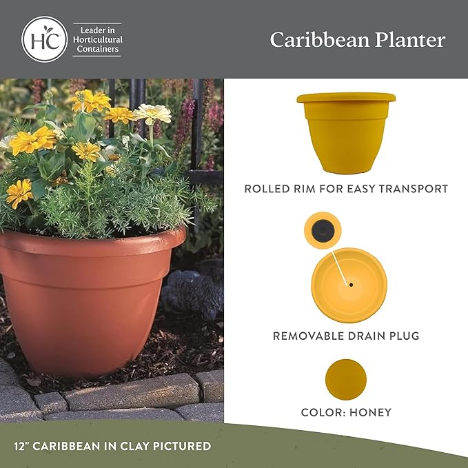The HC Companies 10 Inch Caribbean Planter Pots with Drainage & Plug, Rolled Rim Plastic Planters for Indoor & Outdoor Plants, 2-Pack Decorative Flower Pots for Garden, Office & Home Decor, Honey
