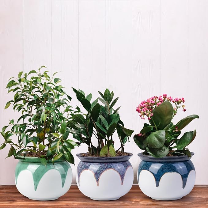African Violet Pots, 6 Inch Self Watering Pots for Indoor Plants, Ceramic Modern Decor Pots Efficient Absorption Water Plant Pot - Gradient Red (No Plants)