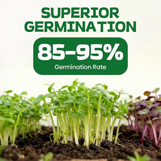 Groundio 40,000+ Heirloom Seeds Kit, 37 Vegetable Seeds Variety Pack - Non GMO for Planting Vegetables, Fruit and Herbs, Outdoor Garden Seeds for Planting Gift for Mother, Women, Mom, Friend