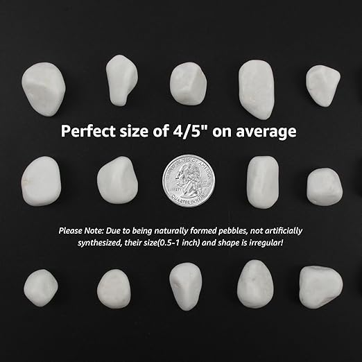 20 lbs White Polished Garden Stones, 0.5-1 Inch Decorative Rocks for Landscaping, Pathways, Yard Borders, Pots, Aquarium Decoration, and DIY Craft Projects (Pure White, Weight: 20 LB)