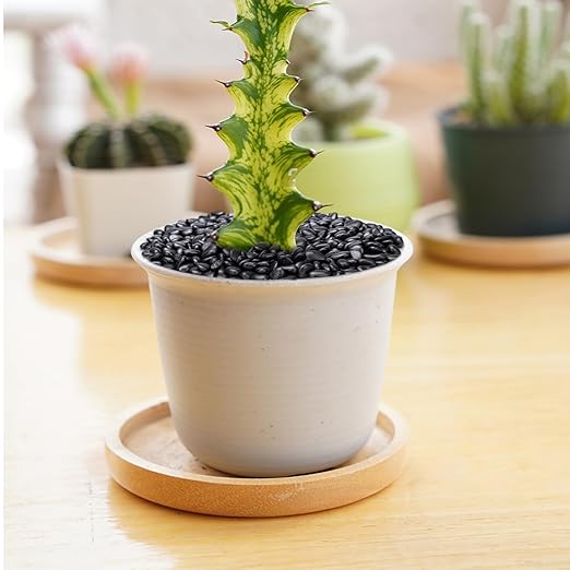 Pulovin 5 lbs Black Pebbles for Indoor Plants, Succulent, Bamboo, Vase, 3/8" Plant Rocks for Pots Indoor, Small River Rocks Decorative Pea Gravel, Highly Polished