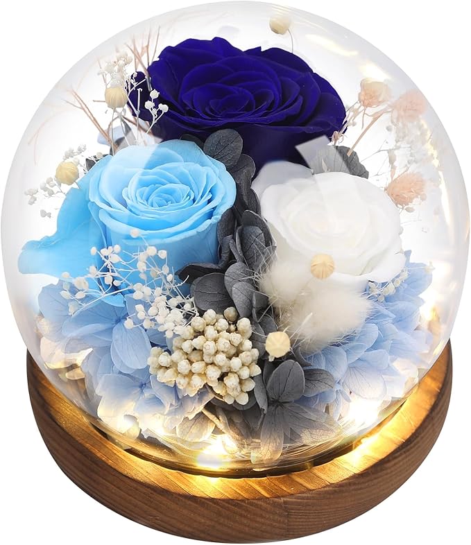 Preserved Flowers,Rose in Glass Dome with LED Light, Gifts for Her, Women, Mom,Grandma,Girlfriend, Wife - Style5