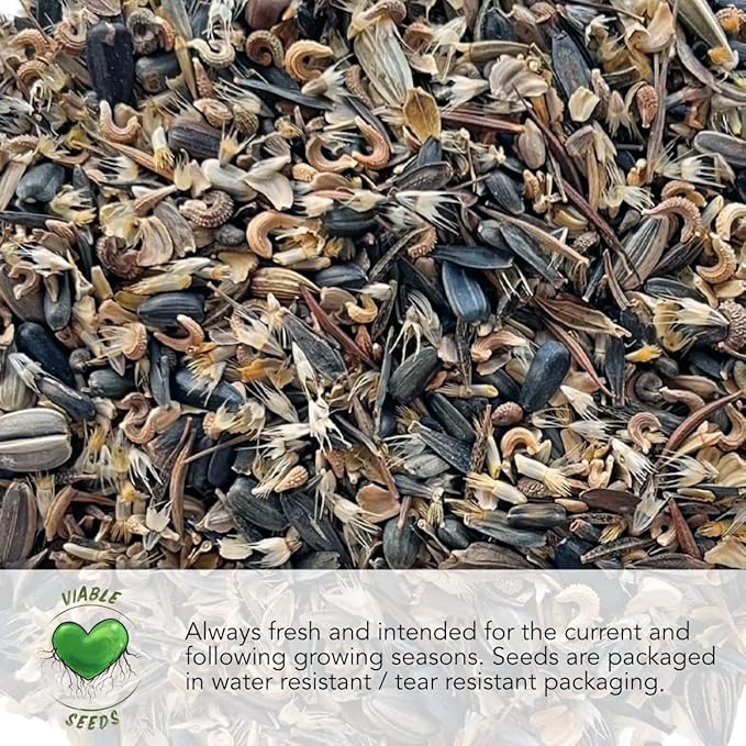 Seed Needs Italian Herb Seeds Variety Pack of 5 Rosemary Basil Sage & More