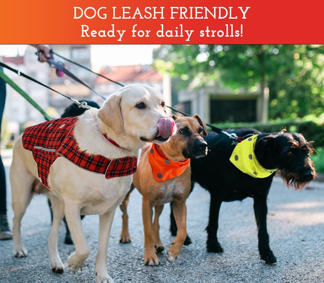 Reflective Dog Bandanas - High Visibility Safety Accessories for Small & Large Dogs (Blaze Orange, M-L)