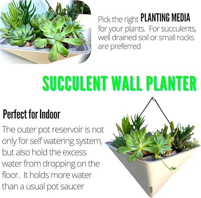 LaLaGreen Wall Planters for Indoor Plants