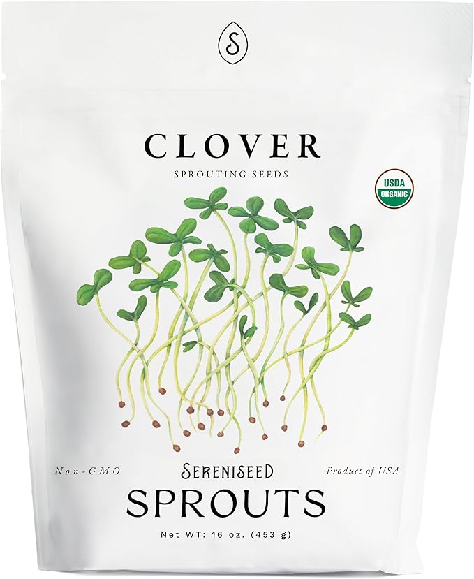 Organic Clover Sprout Seeds (16 oz) – Non-GMO, Heirloom Seeds for Sprouting and Microgreens