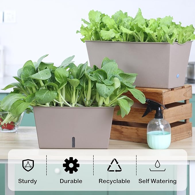 Oliz Window Box Planter 6 Pcs, 12.6 Inches Self Watering Rectangle Flower Plant Pots with Drainage Holes & Breathable Trays, Vegetable Planters for Windowsill Patio Garden Balcony Porch Yard (Khaki)