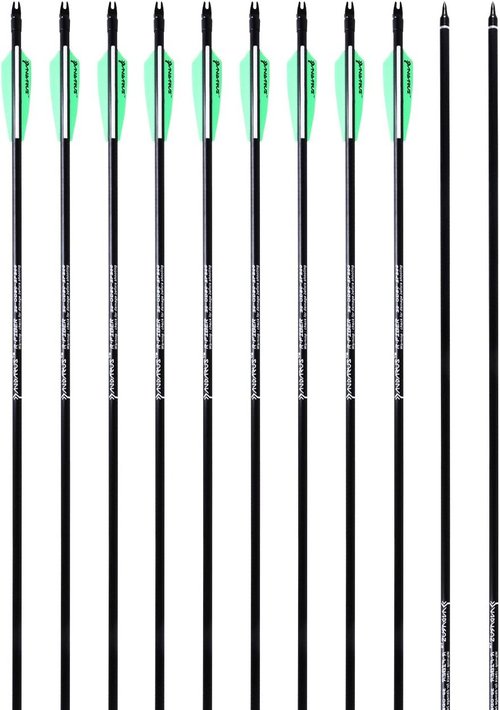 Archery 32inch/30inch 8mm Fiberglass Hunting Practice Arrows with Replaceable Arrowhead Spine 500 for Recure and Compound Bow Target (Pack of 12)