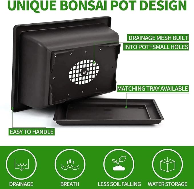 5 Bonsai Tree Kit Complete Plant Growing Tools, Grow in Pot Indoor Bonsai Tree Starter Kit