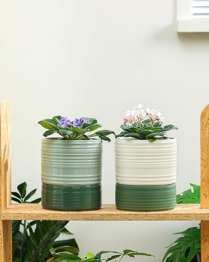 Fayoula Self Watering Pots for Indoor Plants, 6 Inch Ceramic Self Watering Plant Pot, Planter Pot with Wick Rope and Drainage Hole for African Violet Succulent Herbs (White Matte)