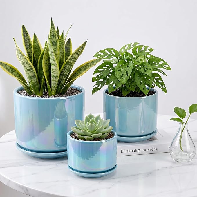 EFISPSS Ceramic Planter 4+5+6 Inch Ceramic Flower pots for Indoor Plants with Drainage,for Succulent Cactus,Garden Planters,Modern Decorative for Home Blue Pearl Glaze Plant Pots