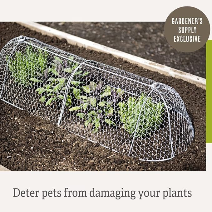 Gardener’s Supply Company Chicken Wire Cloche Garden Row Plant Protector | Sturdy Metal Protection for Seedlings and Crops from Wild Animals & Pets | 2 Section Set