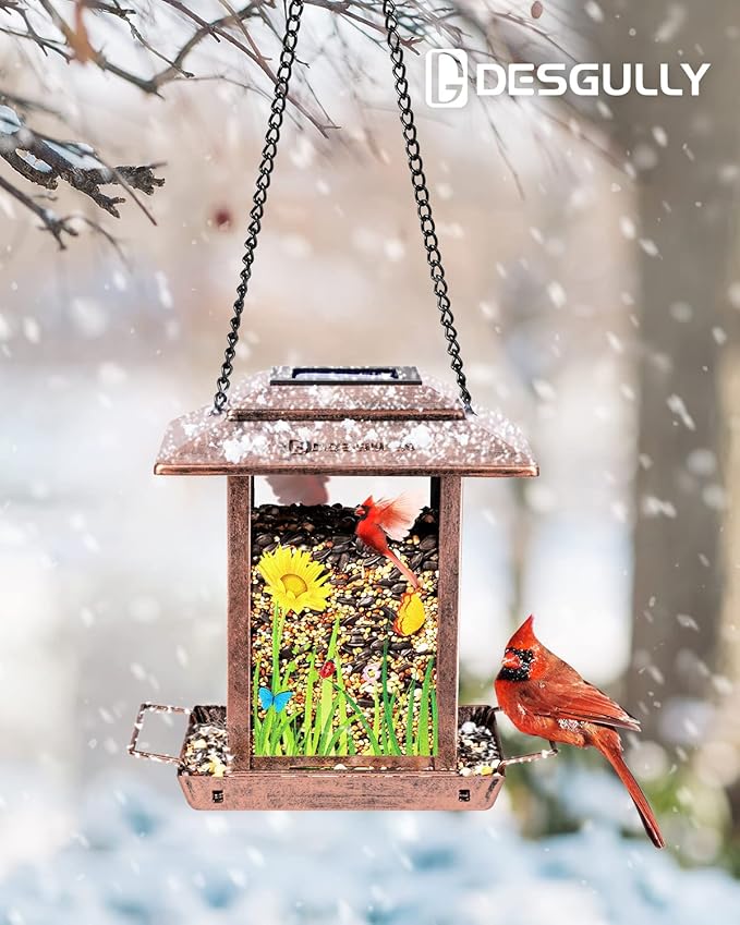 DesGully Solar Bird Feeders for Outdoors - 2.5 LBs Metal Wild Large & Small Bird Feeder for Outside Hanging, Gift Ideas for Avian Enthusiast Garden Yard Seeds (Chew-Proof, Weather Resistance)
