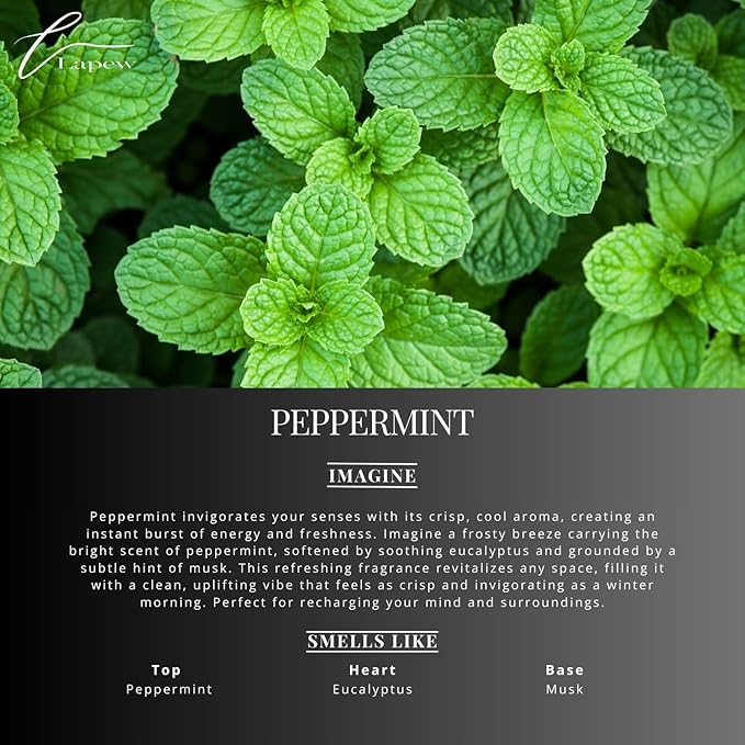 Lapew Peppermint Scented Cleaning Bundle | Carpet Deodorizer Powder (16 oz) & Mop Soap Concentrate (36 oz) | Pet-Friendly Odor Eliminator
