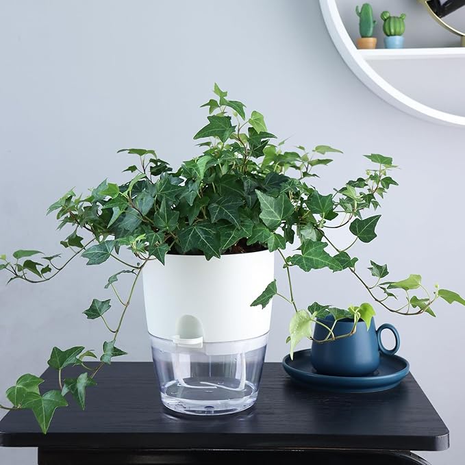 Oliz 6 Inch Self Watering Plastic Plant Pots for Indoor Plants - 3 Pack White Orchid Planters with Wick Ropes & Drainage Holes, Modern Decorative Garden Pots with Water Reservoir