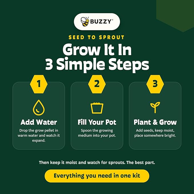 BUZZY Seeds Bonsai Starter Kit, Norway Spruce, Complete Indoor Gardening Gift, DIY Mini Tree Project, Soothing Indoor Hobby for Home or Office, Fun Stocking Stuffer, Housewarming Present