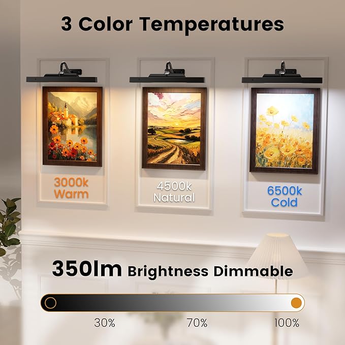Art Frame Picture Light 4Pack, Remote Control Timer 3 Color Temps