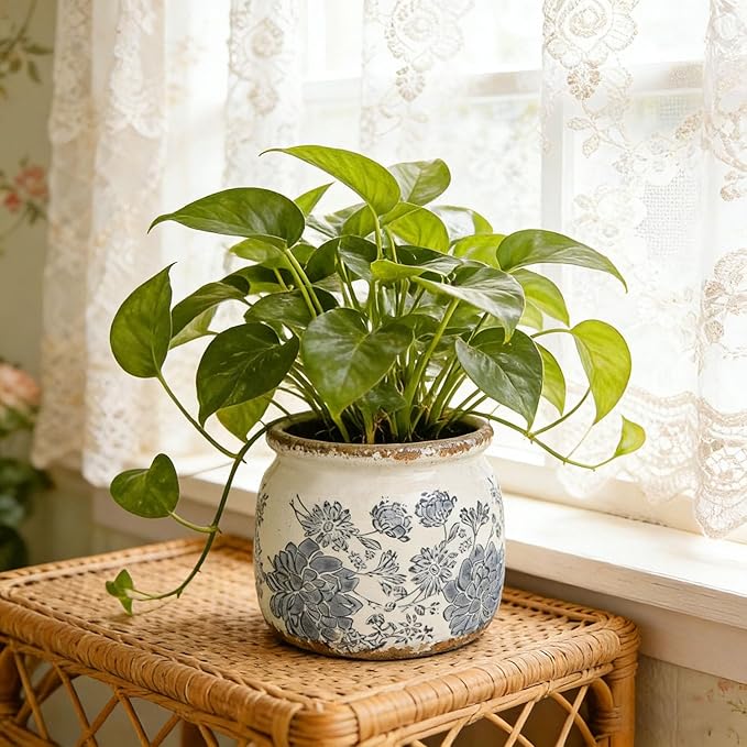 Flower Pots Planters for Indoor Plants Ceramic Plant Pots with Drainage 6.1 Inch Vintage Ceramic Pots for Plants Outdoor Home Garden Decor, Vintage Gray Bloom