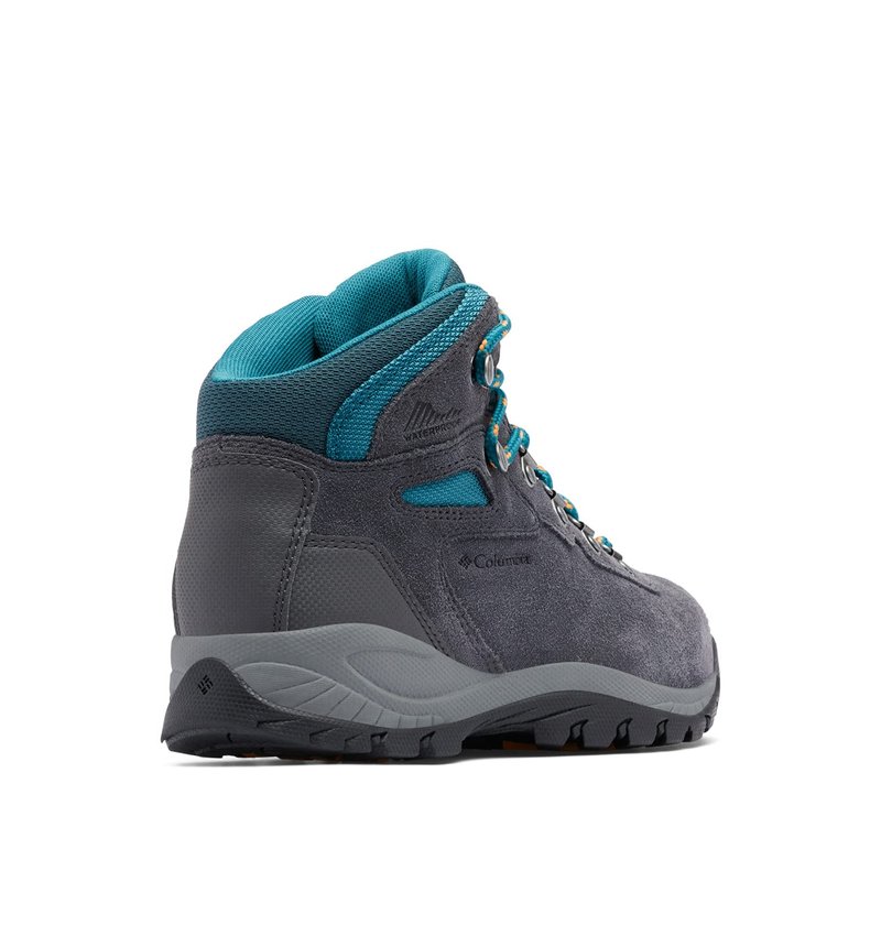 Columbia Womens Newton Ridge Plus Waterproof Amped, Shark/River Blue, 6 Wide