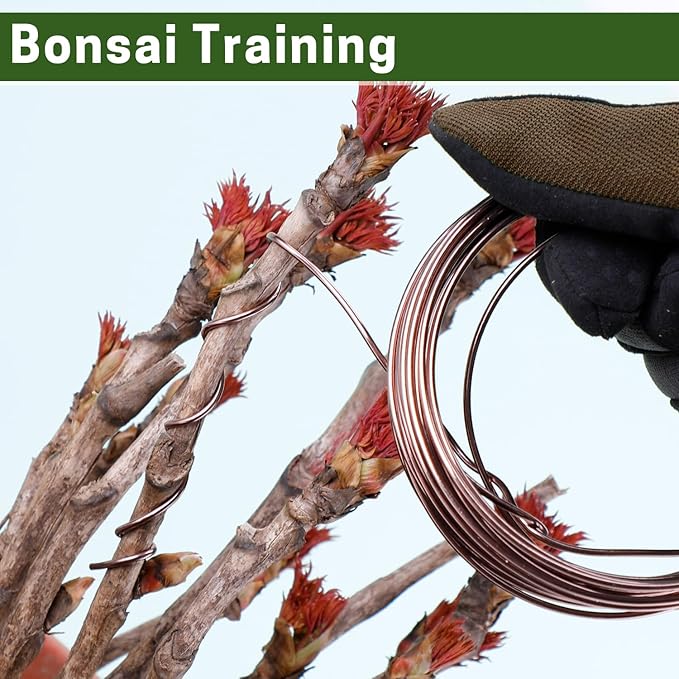 Bonsai Wire Kit, 4 Rolls Total 64Ft Aluminum Bonsai Training Wire Set for Indoor 1.0MM, 1.5MM, 2.0MM