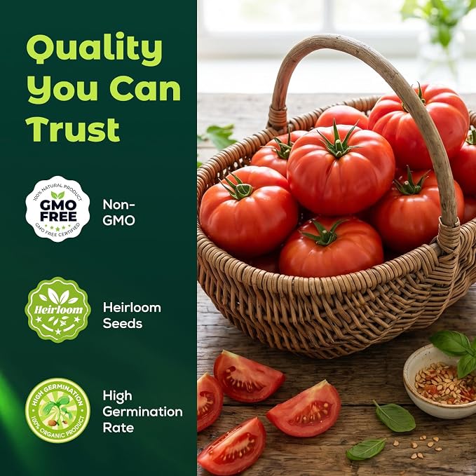 Beefsteak Tomato Seeds for Planting - 400 Heirloom Indeterminate Tomato Seeds, Vegetable Seed Packet with Instructions for Planting Home Garden Indoor & Outdoor