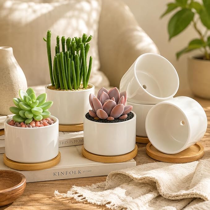 ZOUTOG Succulent Pots 3.15 Inch,4 Pack Succulent Planters,Small Pots for Plants with Drainage and Tray,White Ceramic Flower Planters for Indoor Plants,Home,Office,Desk