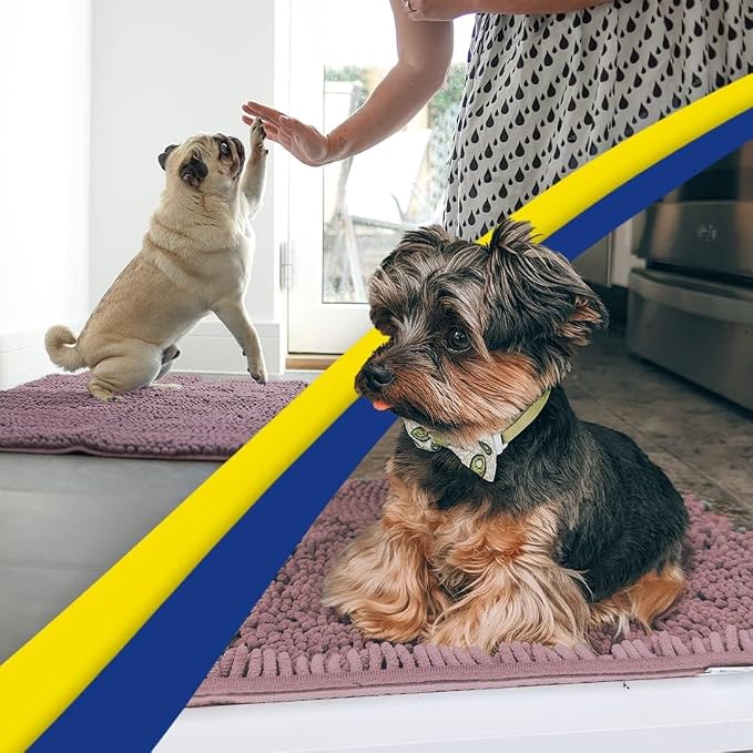 Muddy Mat® | Super Water Absorbent Door Mat Indoor, Microfiber Quick Dry Chenille Entryway Rug, Slip Resistant Front Door Mat, Indoor Mats for Entryway, Machine Washable Pet Rug, Plum 2ft x 3ft