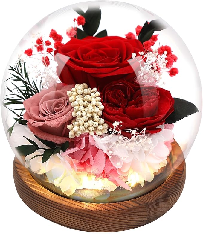 Preserved Flowers,Rose in Glass Dome with LED Light, Gifts for Her, Women, Mom,Grandma,Girlfriend, Wife- Style1
