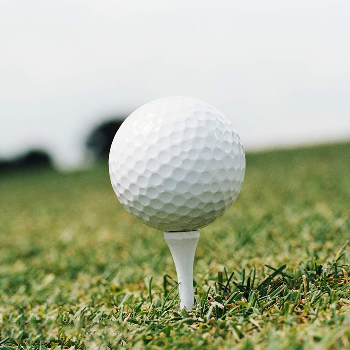 Crestgolf Deluxe Wood Golf Tees - Professional 2 1/8" Size | 100 Count for Optimal Performance
