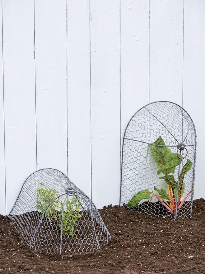 Gardener’s Supply Company Chicken Wire Cloche Garden Row Plant Protector | Sturdy Metal Protection for Seedlings and Crops from Wild Animals & Pets | 2 Section Set