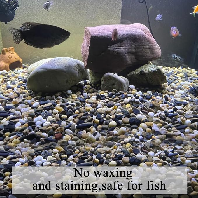 FANTIAN 5 lbs Gravel for Fish Tank, 2/5 Inch Mixed Color River Rocks for Aquarium, Vase Fillers, Cactus Bonsai, Plant Soil Cover and Outdoor Garden Landscaping Rocks