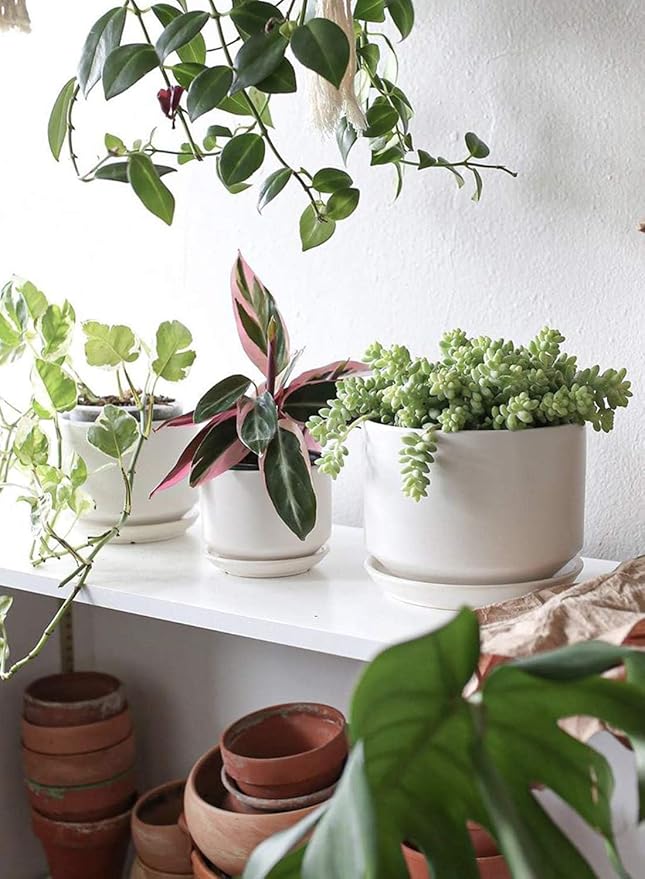 LE TAUCI Ceramic Pots for Plants, 6.8 Inch Plant Pots with Drainage Hole & Saucer, Modern Planter for Indoor Plants, Stable & Durable, Perfect for Living Room or Office Decor, White