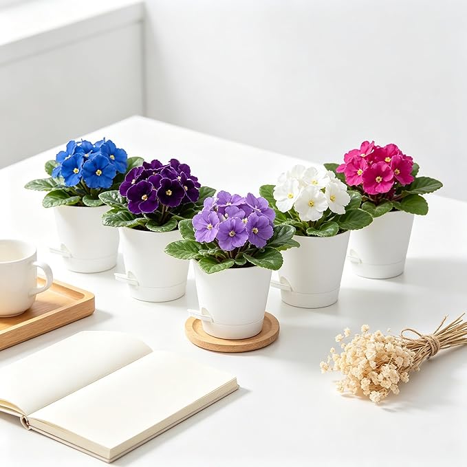 5 Pack 5 Inch African Violet Pots Self Watering, Self-Watering Planters with Drainage Holes & Reservoir, White Plastic Pots for Indoor Outdoor Plants, Succulents & Flowers