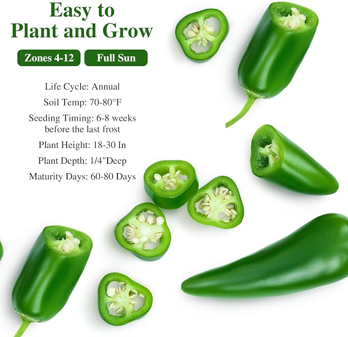 Groundio Jalapeno Pepper Seeds for Planting, Non-GMO Heirloom Vegetable Seeds for Outdoor Home Garden, Easy to Grow, Perfect for Salsa & Hot Sauce