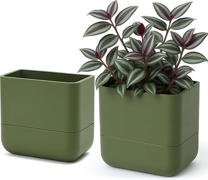 Phoenix Vine 6.5 Inch Wall Mounted Self-Watering Planter Pot