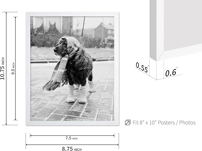 Poster Master Dog Dressed for Winter Print